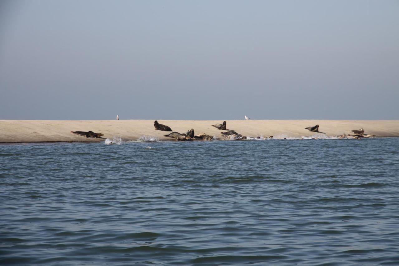 Camping De Brem Renesse Bagian luar foto